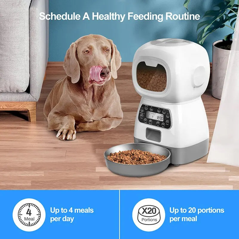 Alimentador Automático para Cães e Gatos e Fonte de Água/ Bebedouro Automática