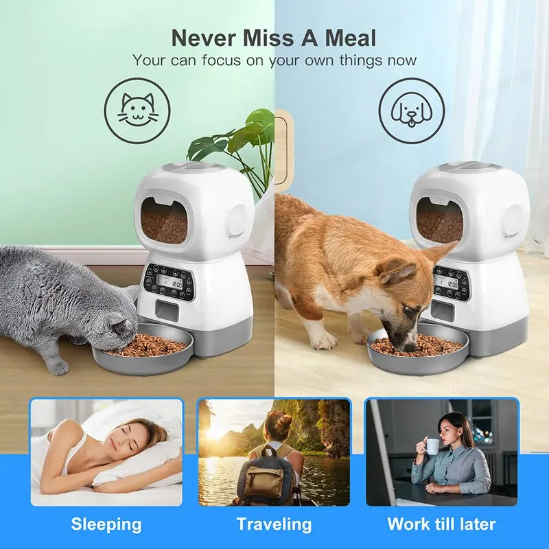 Alimentador Automático para Cães e Gatos e Fonte de Água/ Bebedouro Automática