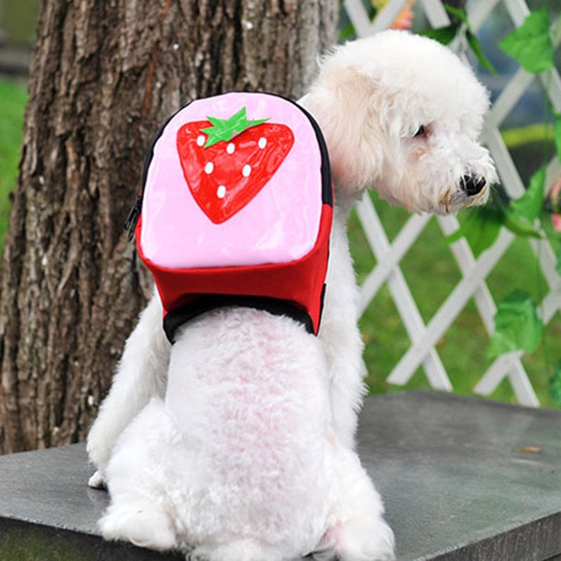 Mochila Pet para Passeio e Viagem Vários Modelos